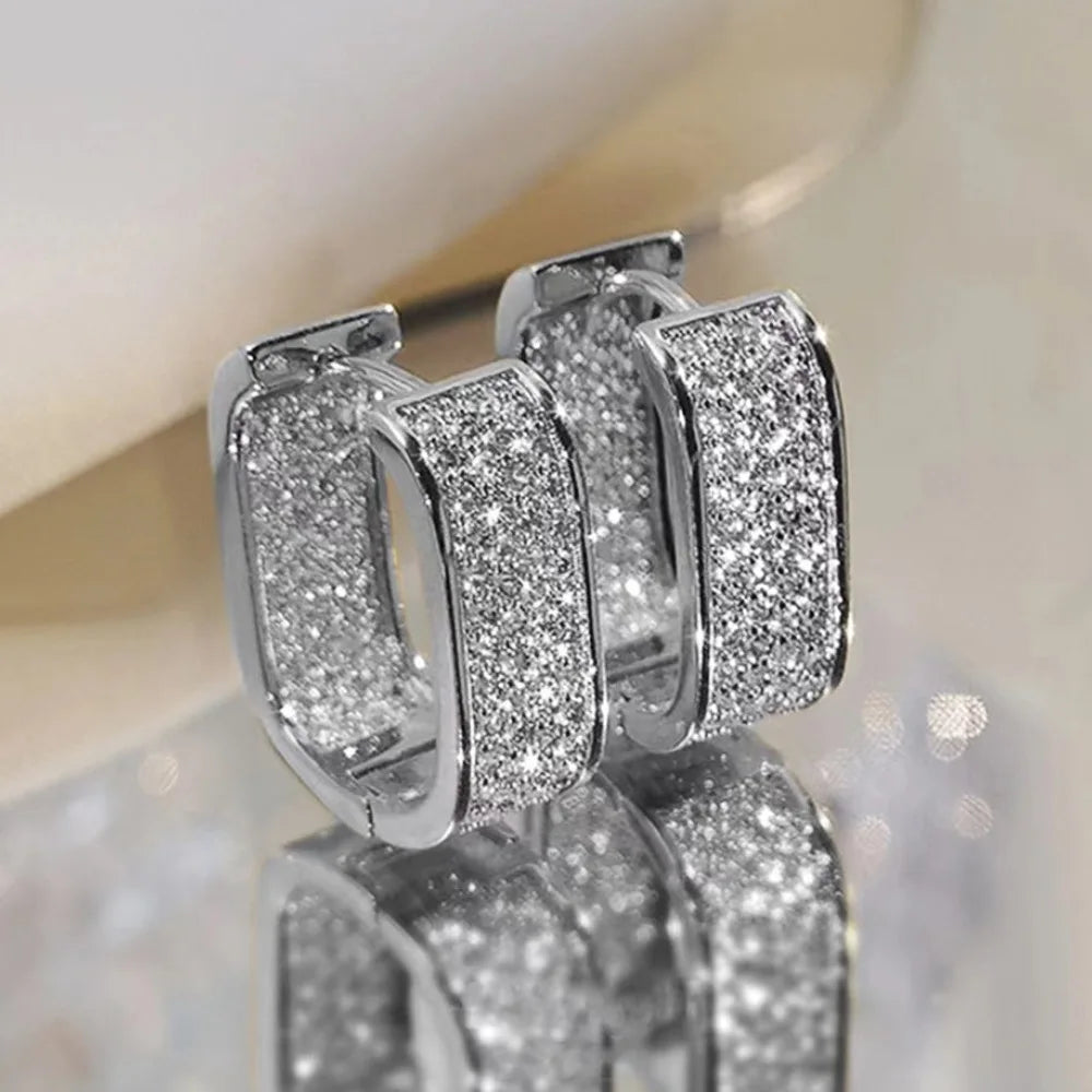 U-Shaped design stainless steel jewelry ,High quality earrings. Exquisite sparkling earrings