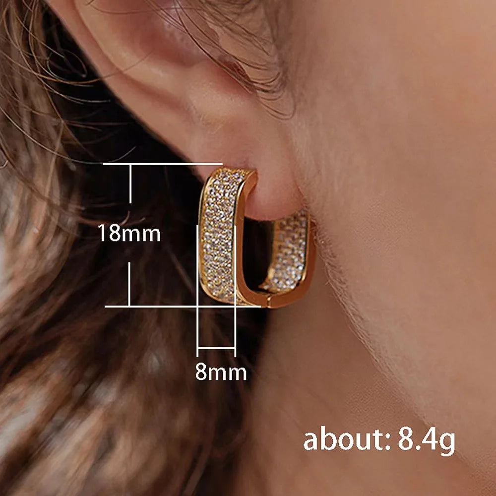 U-Shaped design stainless steel jewelry ,High quality earrings. Exquisite sparkling earrings